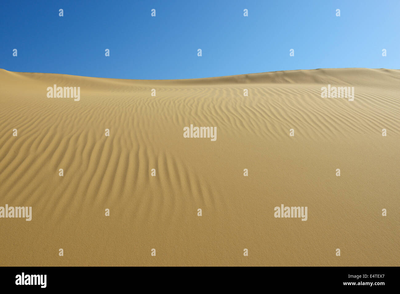 Overview of Sand Dune, Matruh, Great Sand Sea, Libyan Desert, Sahara Desert, Egypt, North Africa, Africa Stock Photo