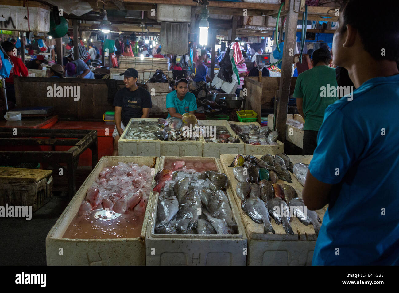 Bali, Indonesia. Jimbaran Fish Market Stock Photo Alamy