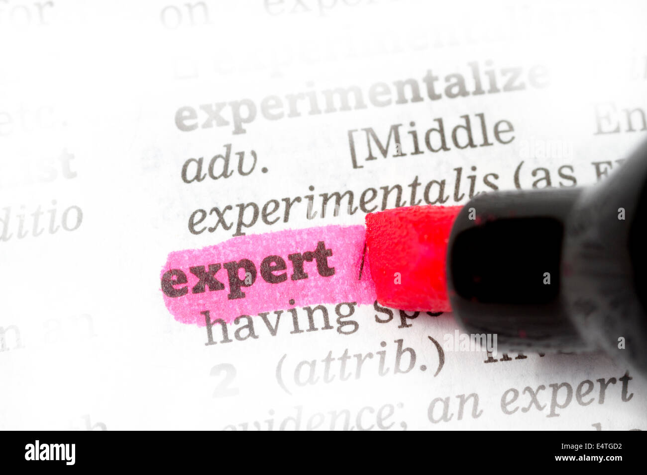 Expert  Dictionary Definition single word with soft focus Stock Photo