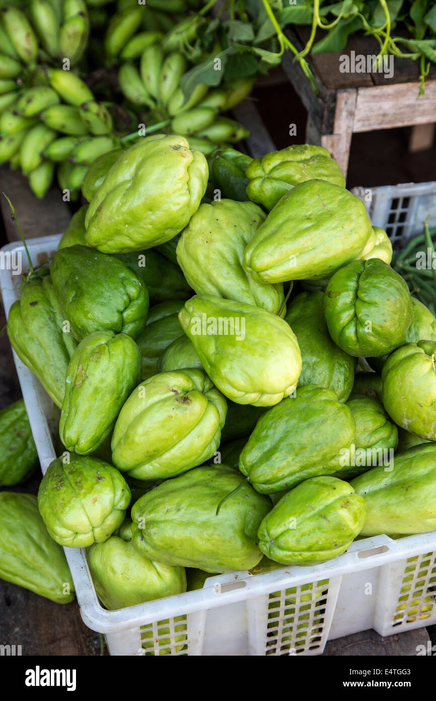 Jimbaran, Bali, Indonesia.  Chayote Fruit, called Labu Siam in Indonesia, grows in many tropical countries. Stock Photo