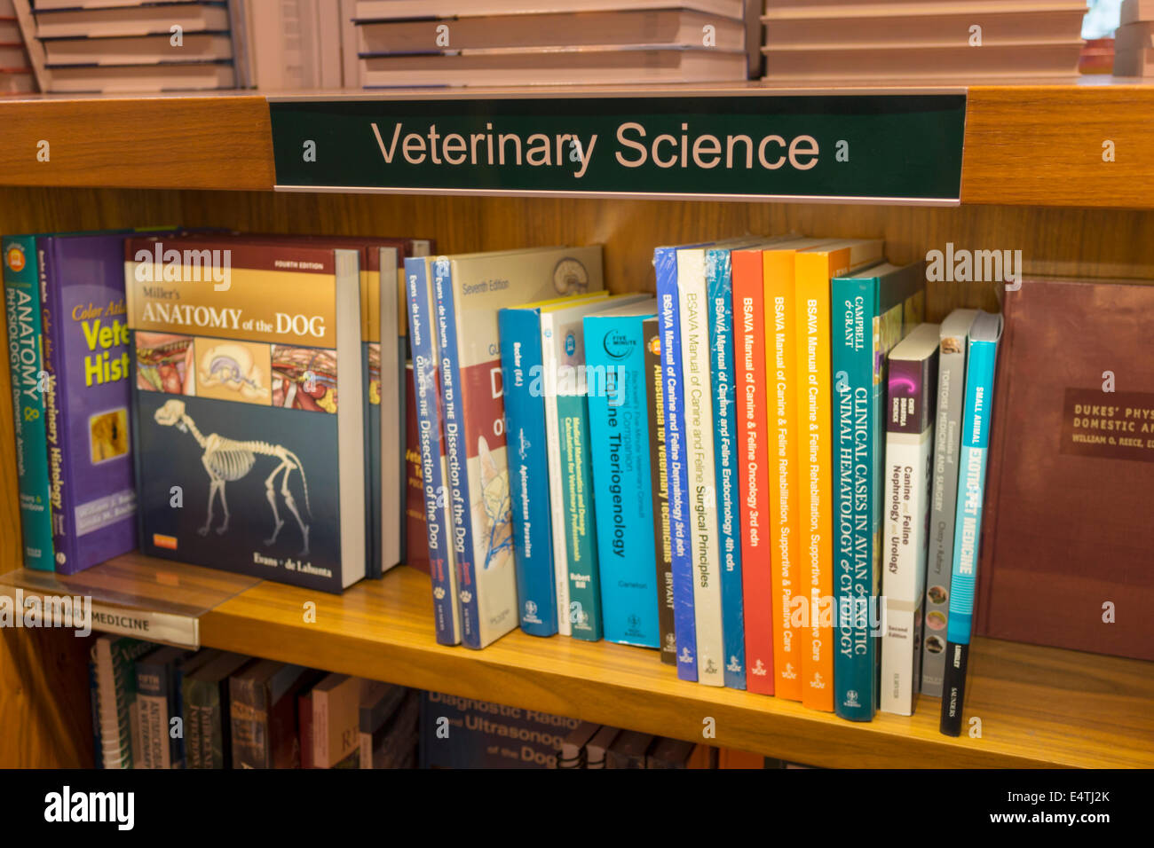 Melbourne Australia,Victoria Carlton,Parkville,University of Melbourne