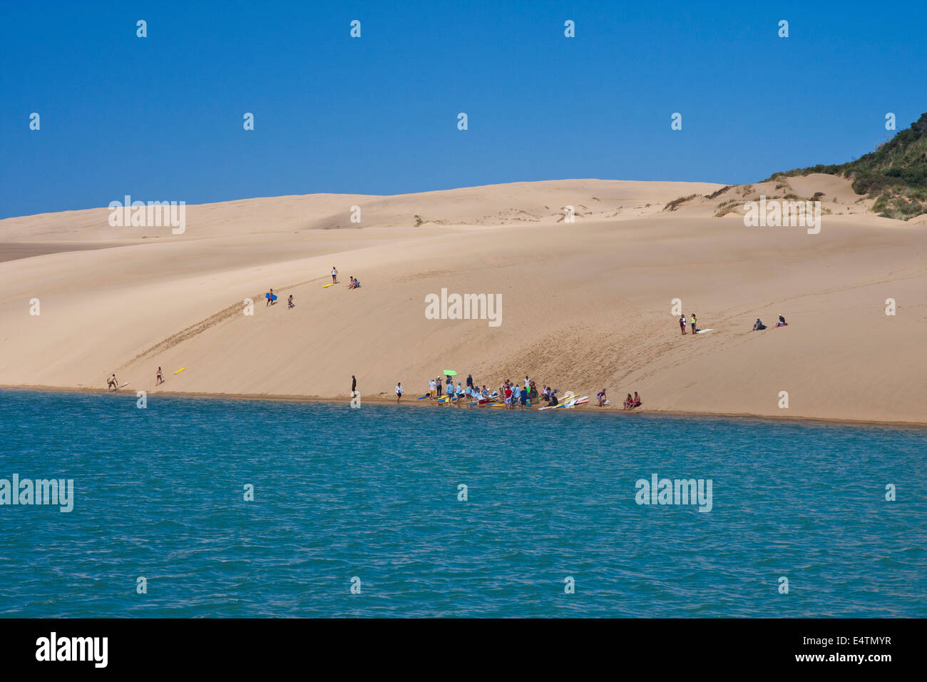 Group of sand boarders in Hokianga Harbour Stock Photo