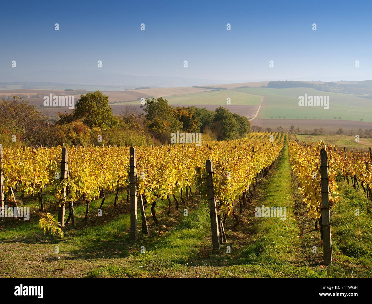 Eastern Region Slovácko High Resolution Stock Photography and Images - Alamy