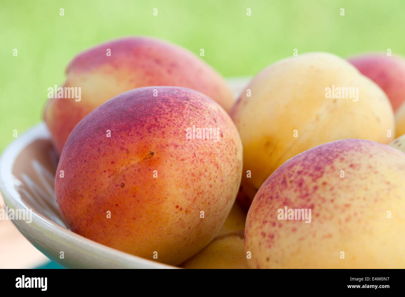 Ripe apricots close-up. Stock Photo
