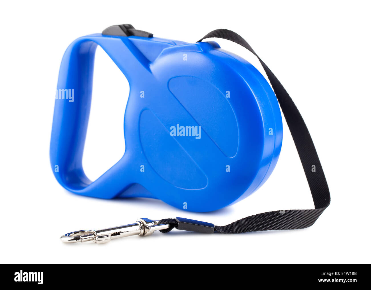 Blue retractable leash for dog Stock Photo