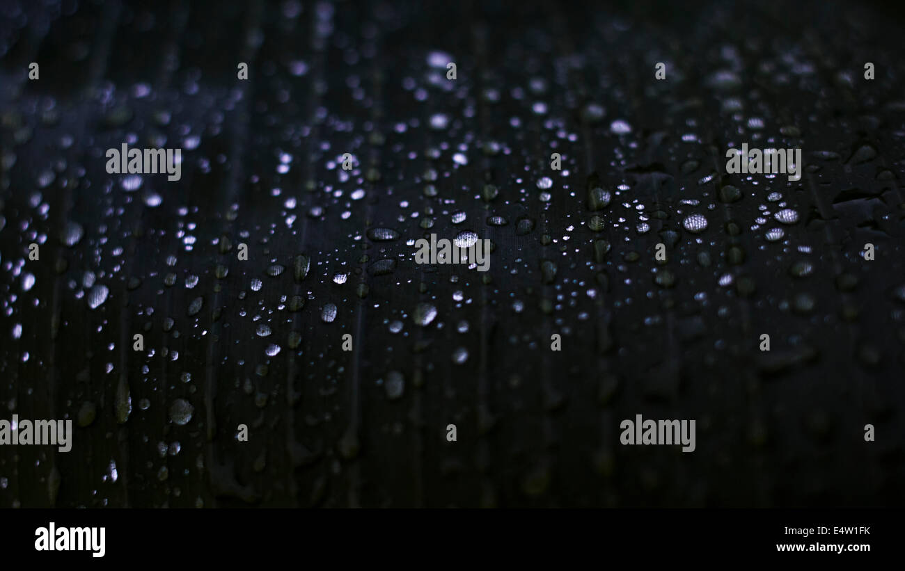 Dewdrops on deep dark green tropical leaf Stock Photo