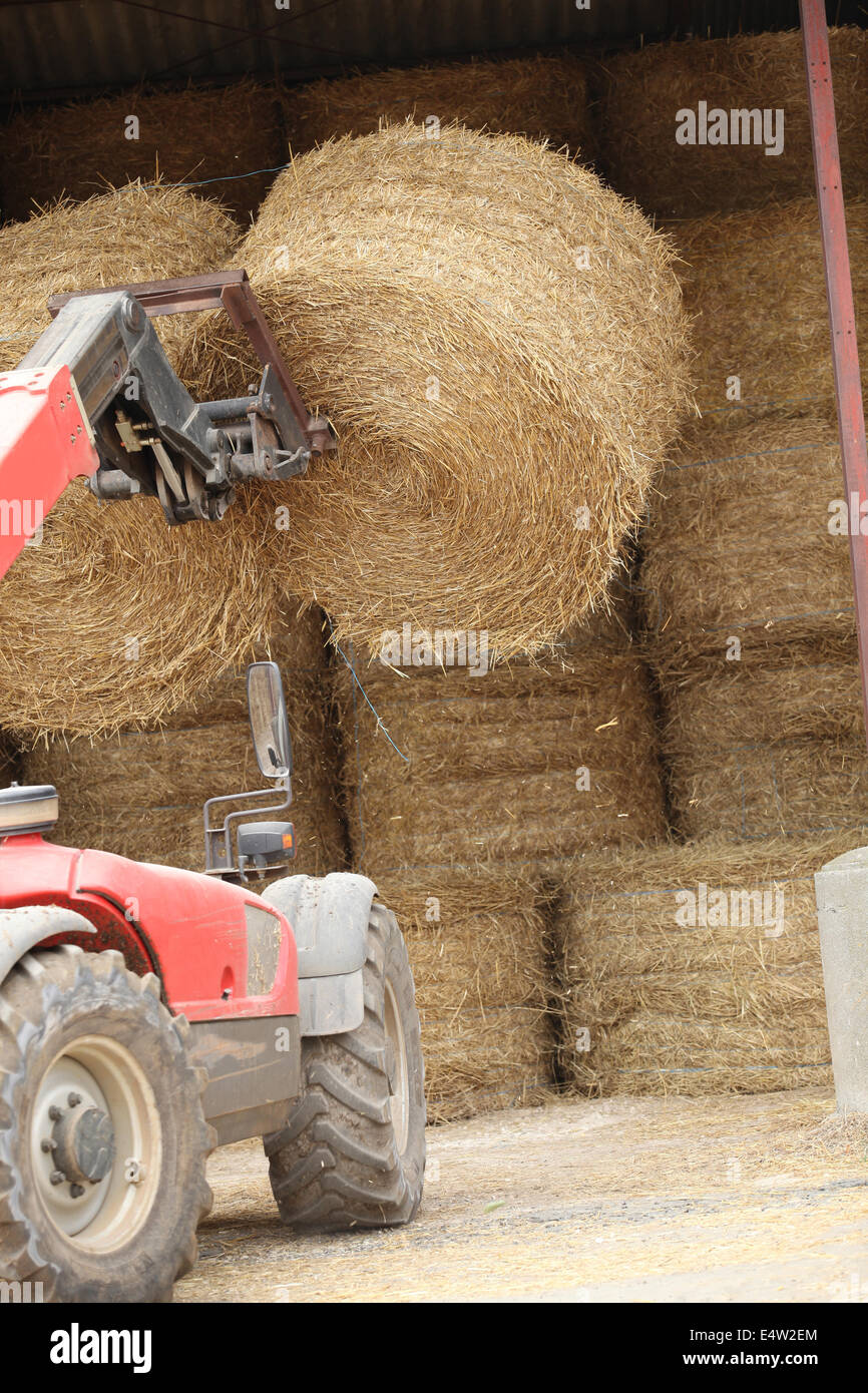 Tractor lifting bail of hay Stock Photo