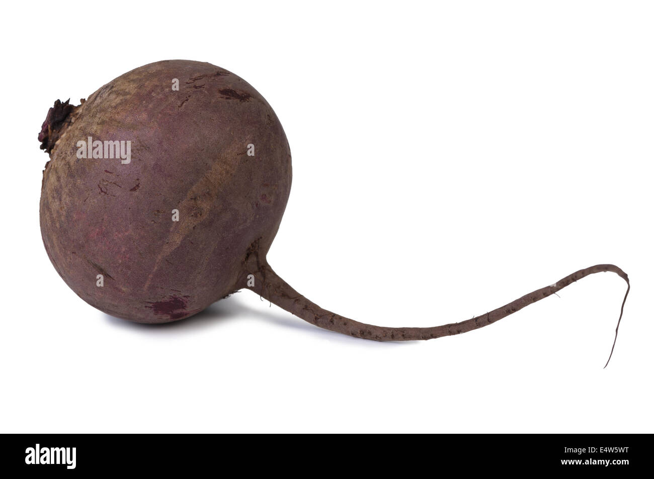 Red beet isolated Stock Photo