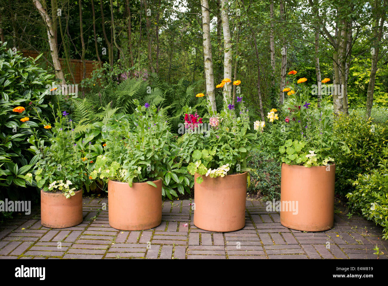Potted Plants at RHS Harlow Carr, Harrogate, England Stock Photo