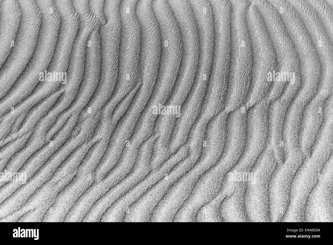 black and white sand dunes Stock Photo Alamy