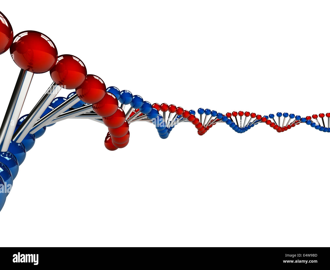 DNA Strands over white background Stock Photo