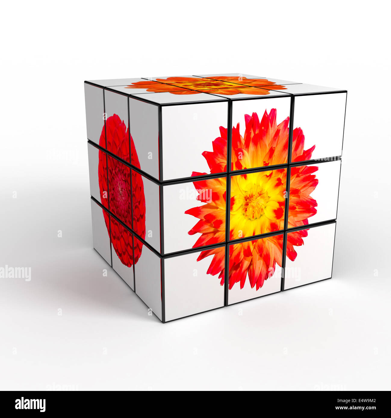 3d cube with photo over white background Stock Photo