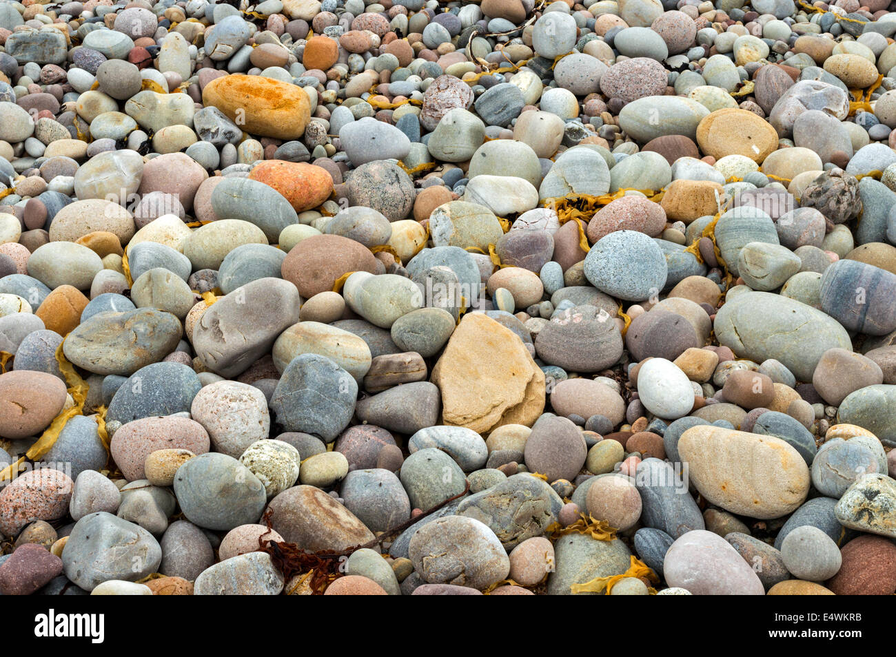 BEACH STONES OF MANY COLOURS SOME OF THEM ARE SANDSTONE WASHED SMOOTH BY THE SEA Stock Photo