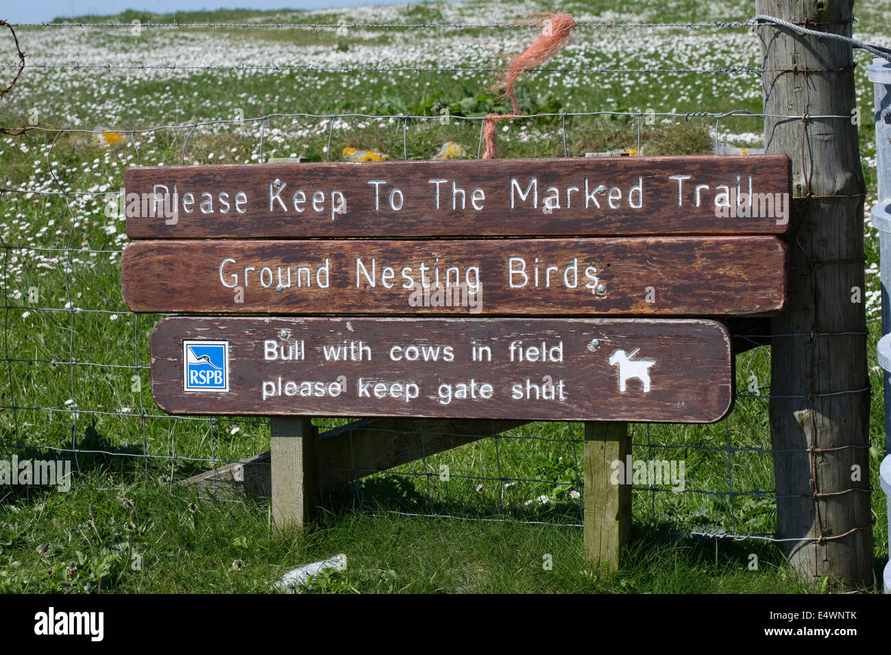 Sign nesting birds Balranald Nature Reserve North Uist Outer Hebrides Scotland Stock Photo