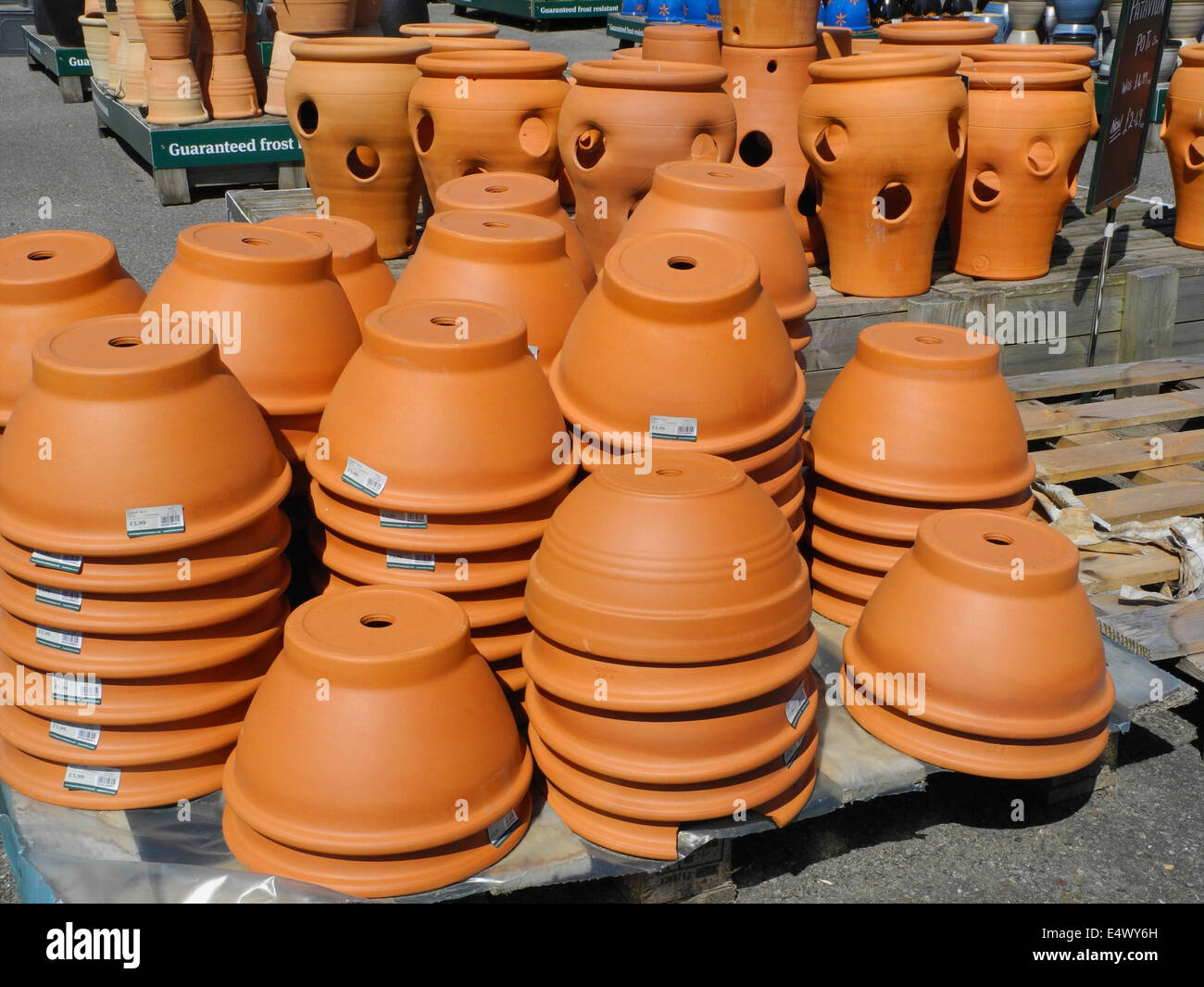 Terracotta terra cotta terra-cottal flower plant pots Stock Photo