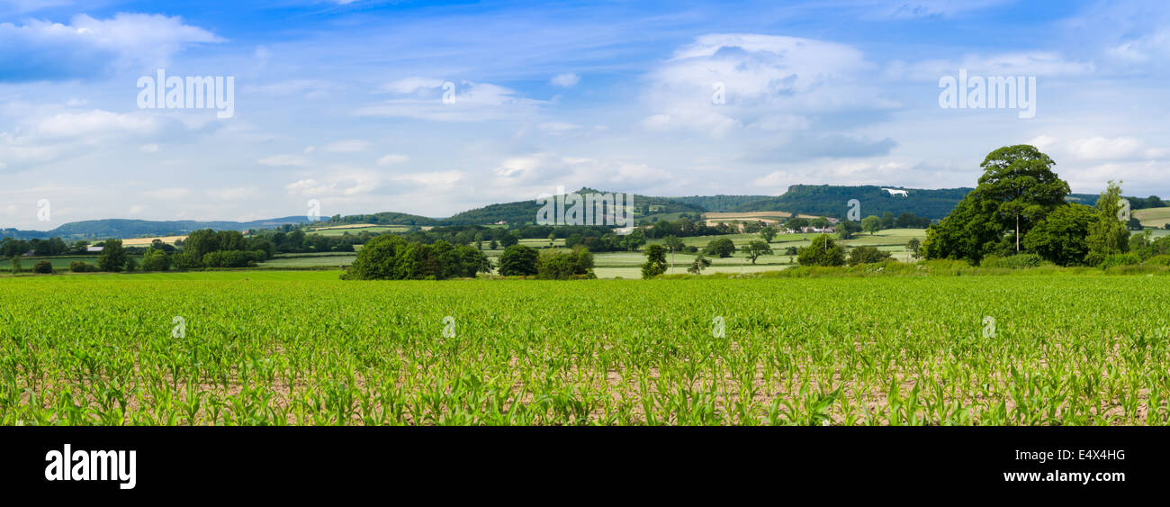 Vale of York and the white horse, panorama Stock Photo