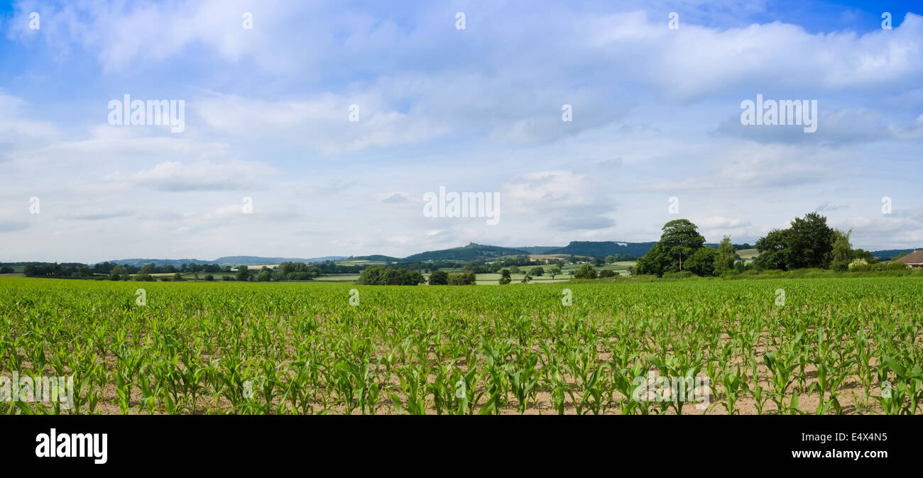 Vale of York and the white horse, panorama Stock Photo