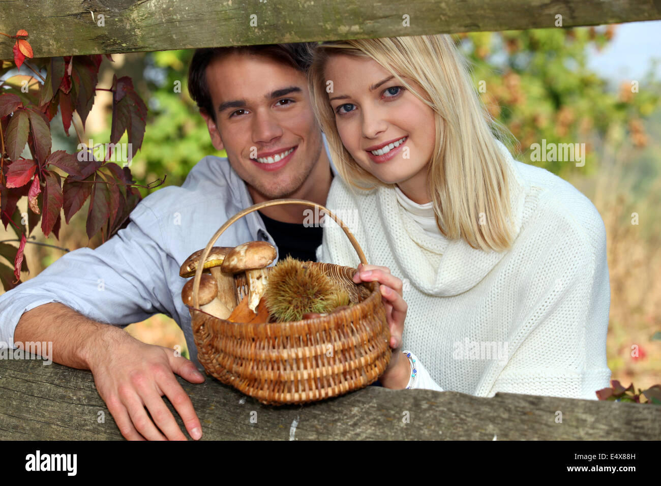 duo behind a hedge Stock Photo