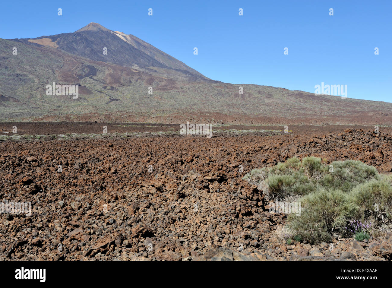 Mount Teide volcano in national park with lava flow in foreground, Tenerife Stock Photo