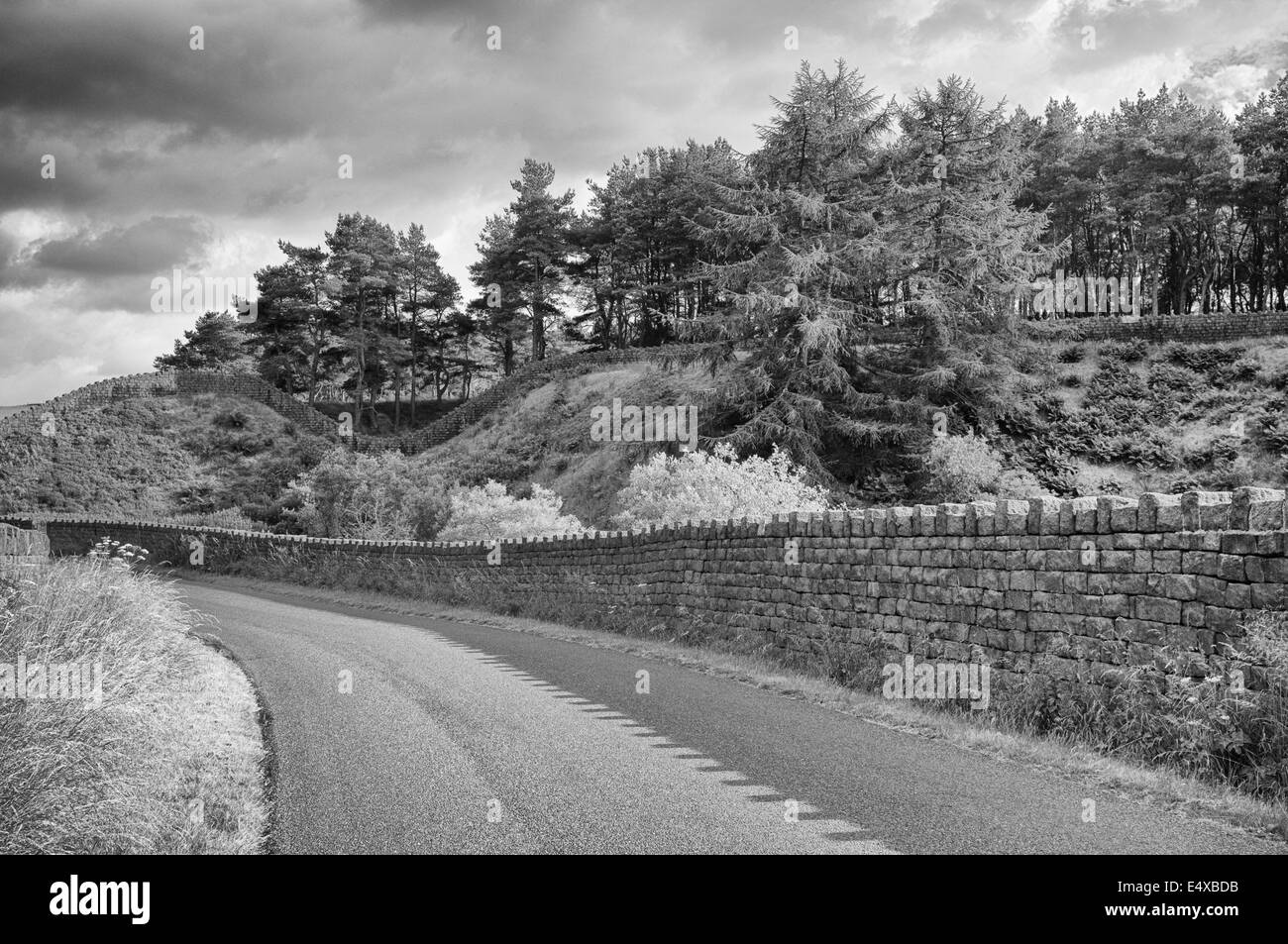 A dry stone wall running alongside a road at Coldwell Reservoir, Lancashire Stock Photo