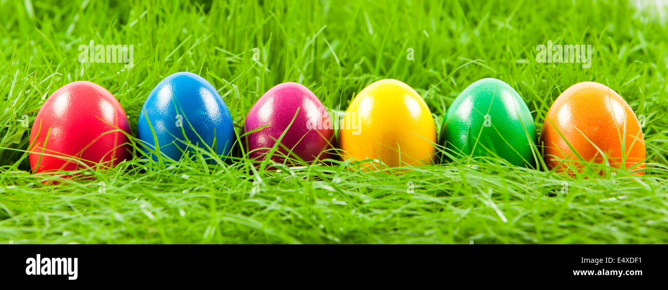 Easter eggs in Fresh Green Grass Stock Photo - Alamy
