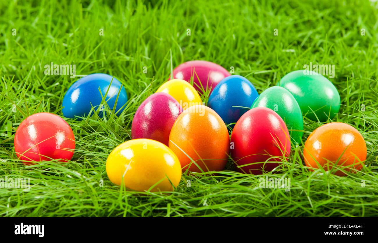 Easter eggs in Fresh Green Grass Stock Photo - Alamy