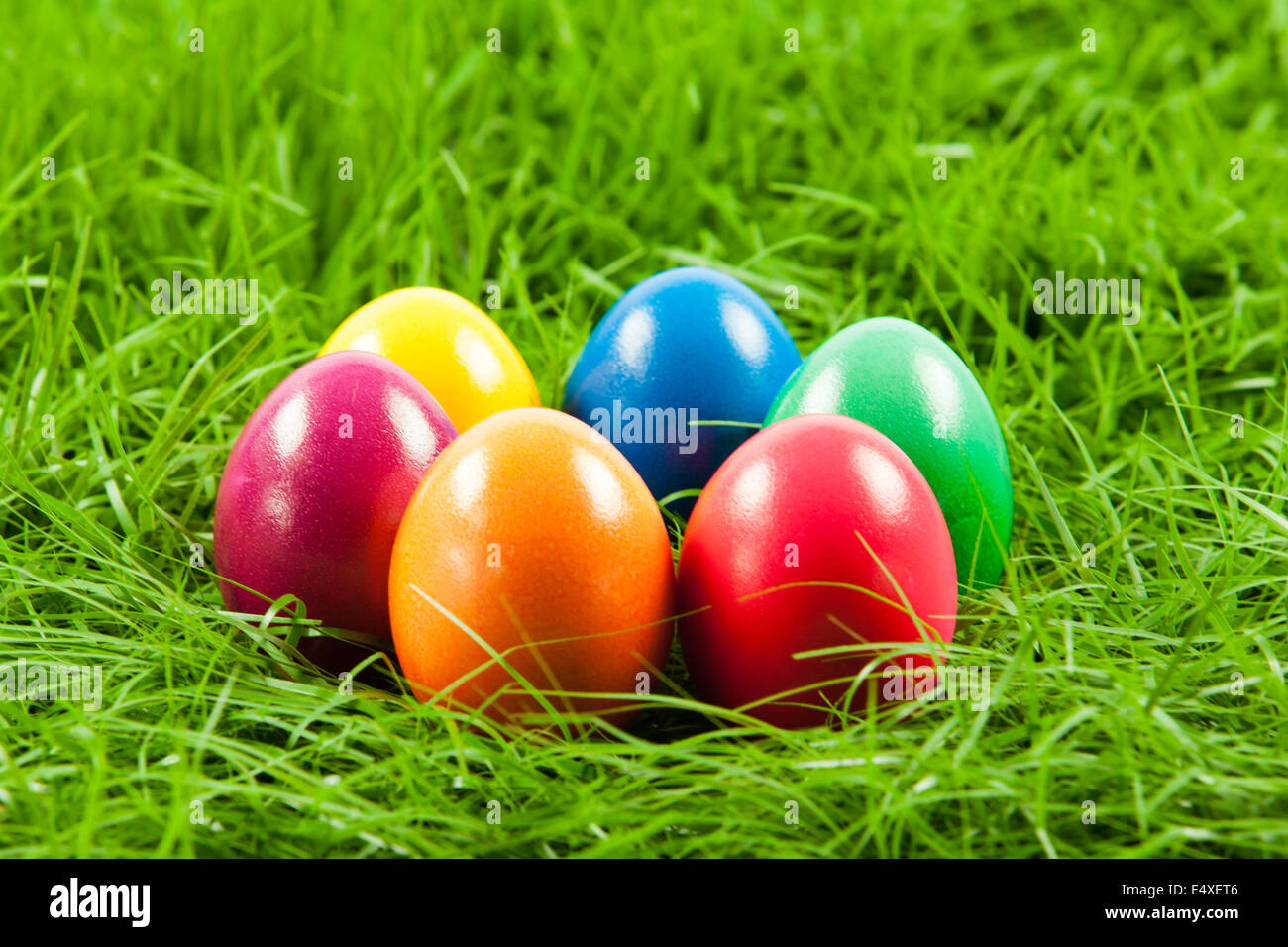 Easter eggs in Fresh Green Grass Stock Photo - Alamy