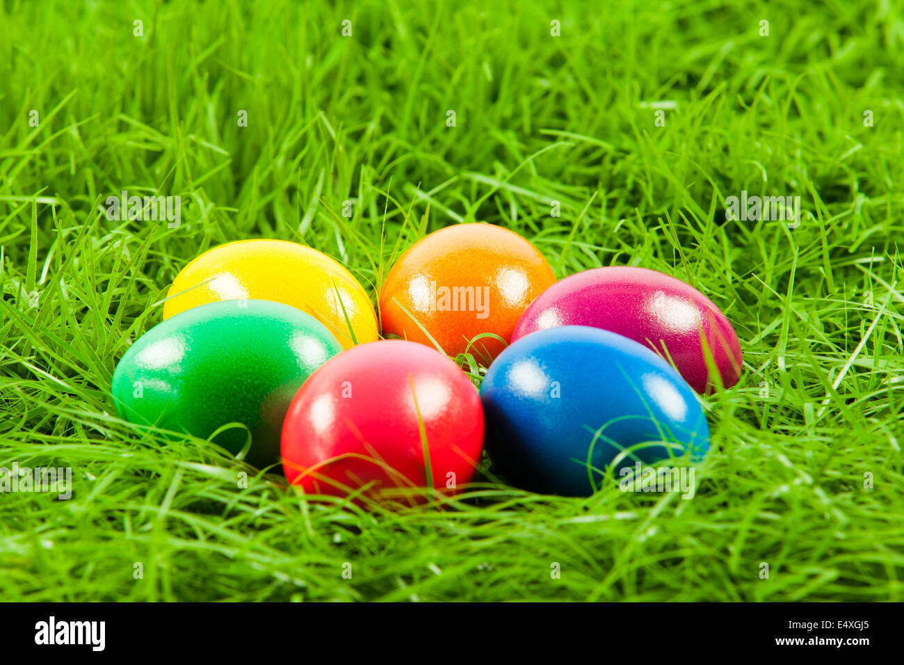 Easter eggs in Fresh Green Grass Stock Photo - Alamy