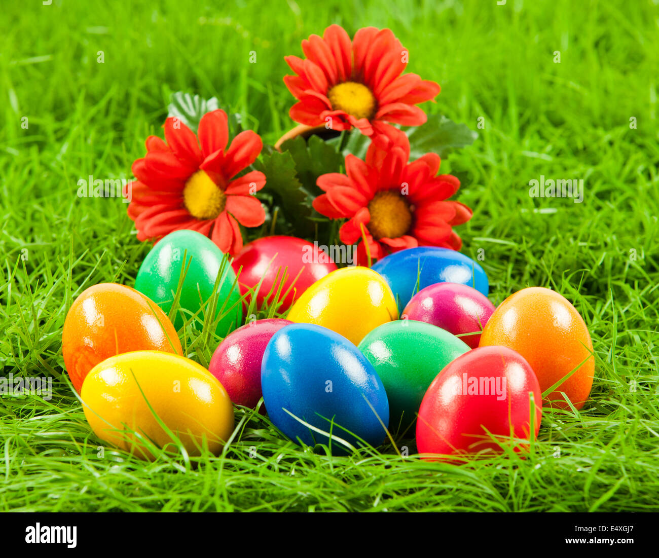 Easter eggs in Fresh Green Grass Stock Photo - Alamy