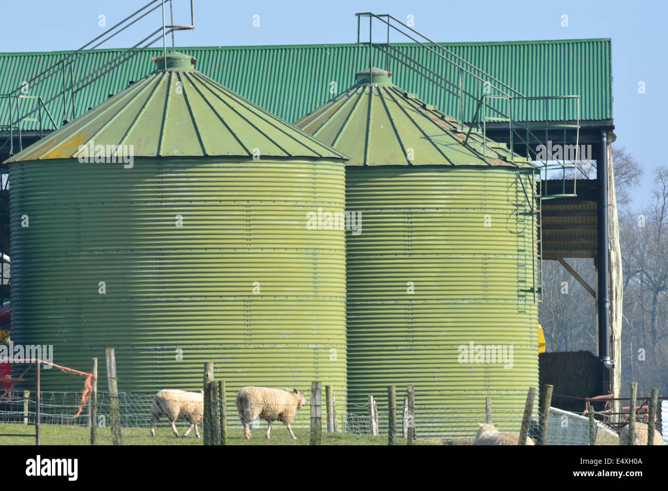 Green food storage silo Stock Photo