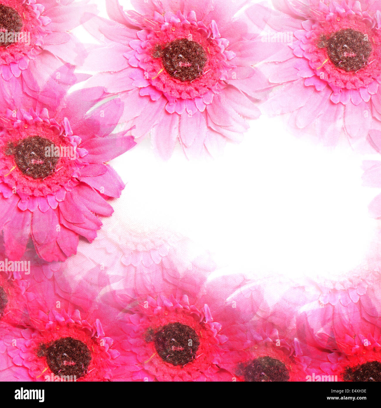 Colourful pink flower border Stock Photo