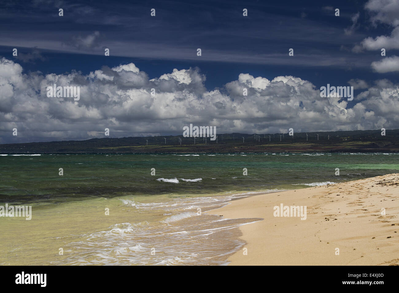 Hawaii beach p hi-res stock photography and images - Alamy