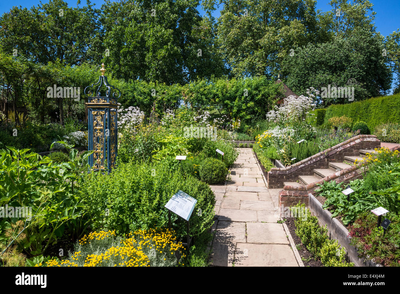 Medicinal plants in Queen's Garden, Kew Palace, Kew Royal Botanic