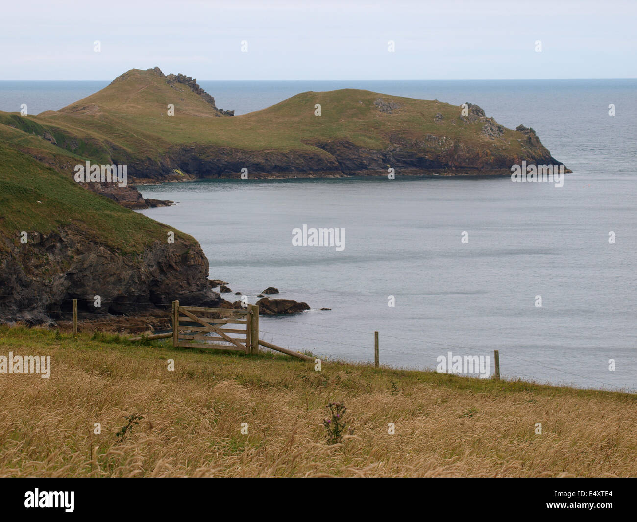 Port Quin Bay coast near Polzeath, Cornwall, UK Stock Photo Alamy