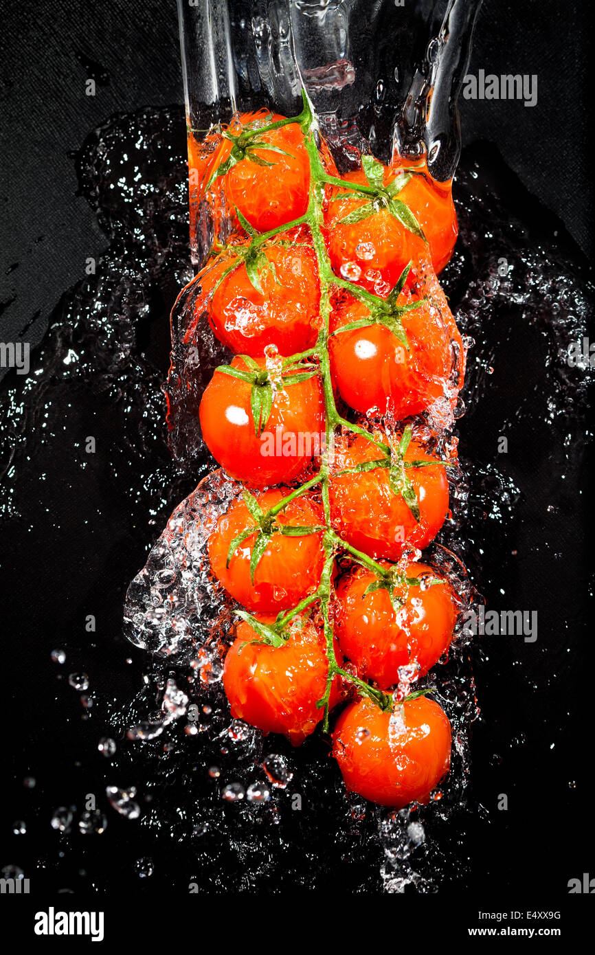 Branch of tomatoes in water splashes Stock Photo - Alamy