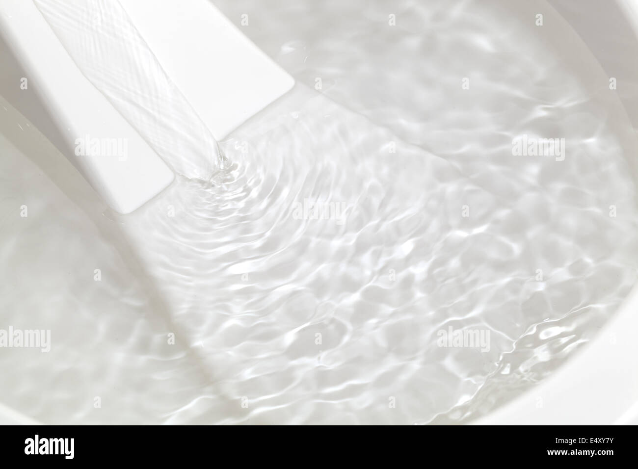 Electric water bowl for pet Stock Photo Alamy