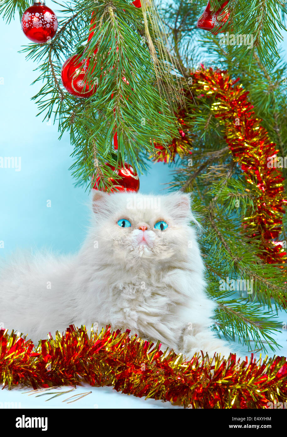 Kitten Christmas Tree Ornament Faux Fur White Cat 