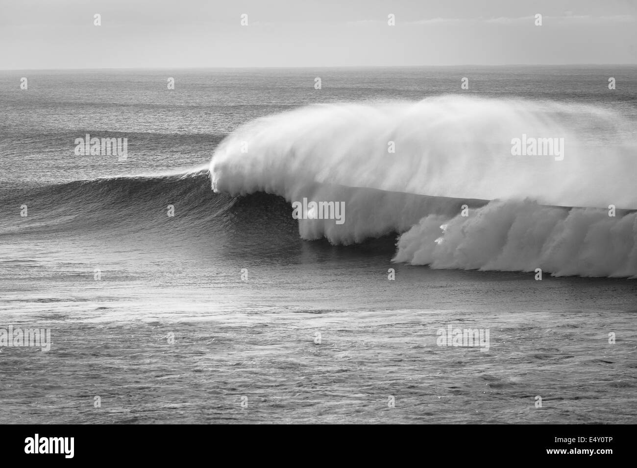 Large ocean wave crashing breaking with offshore wind spray in black ...
