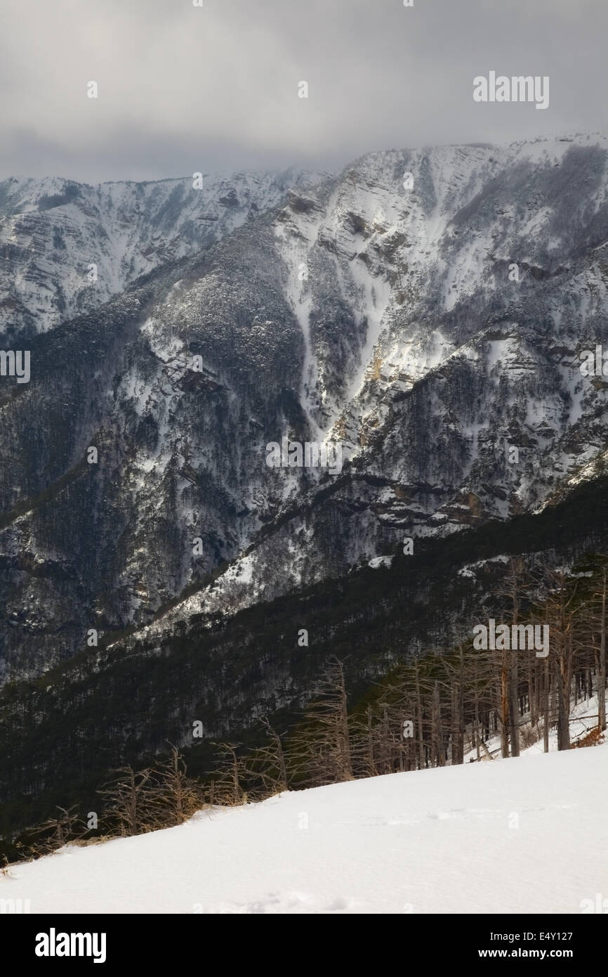 Urban winter landscapes hi-res stock photography and images - Alamy