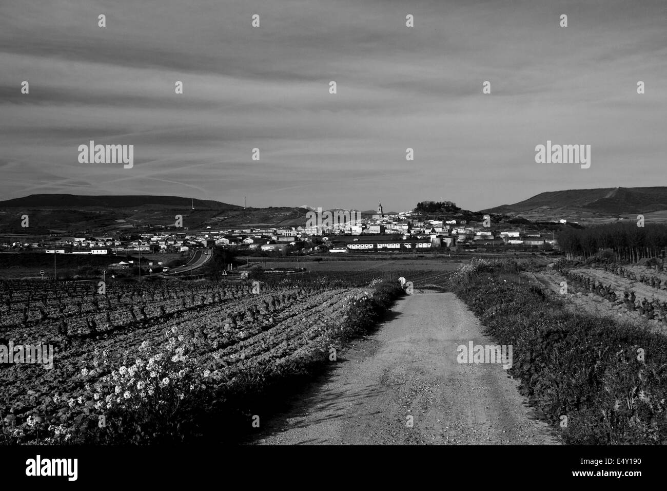 The great walk of  Saint James, Jakobsweg, Camino de Santiago, Spain, Black and white Stock Photo
