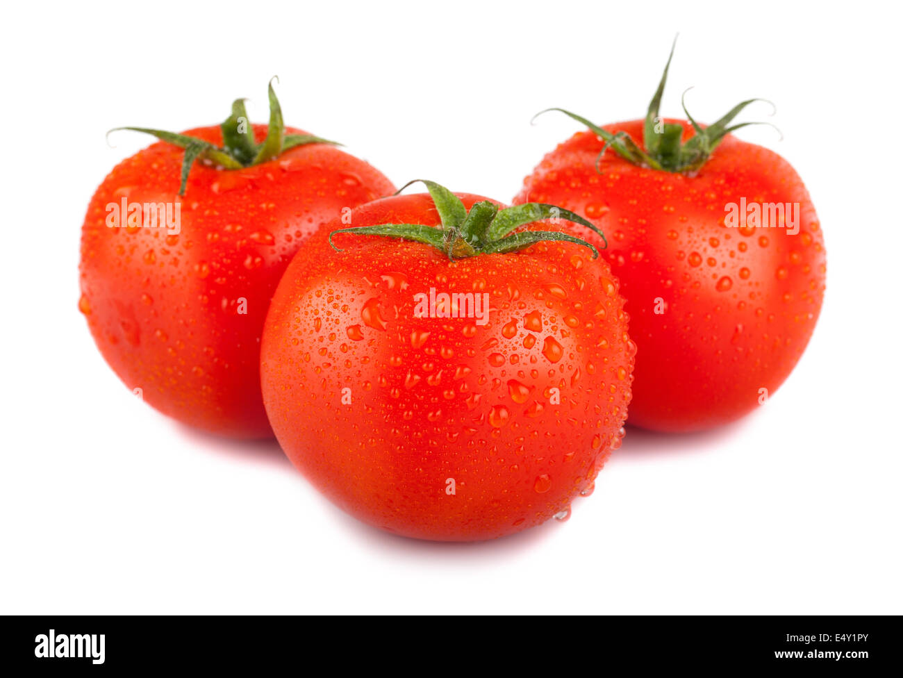 Three ripe red tomato with water drops Stock Photo - Alamy