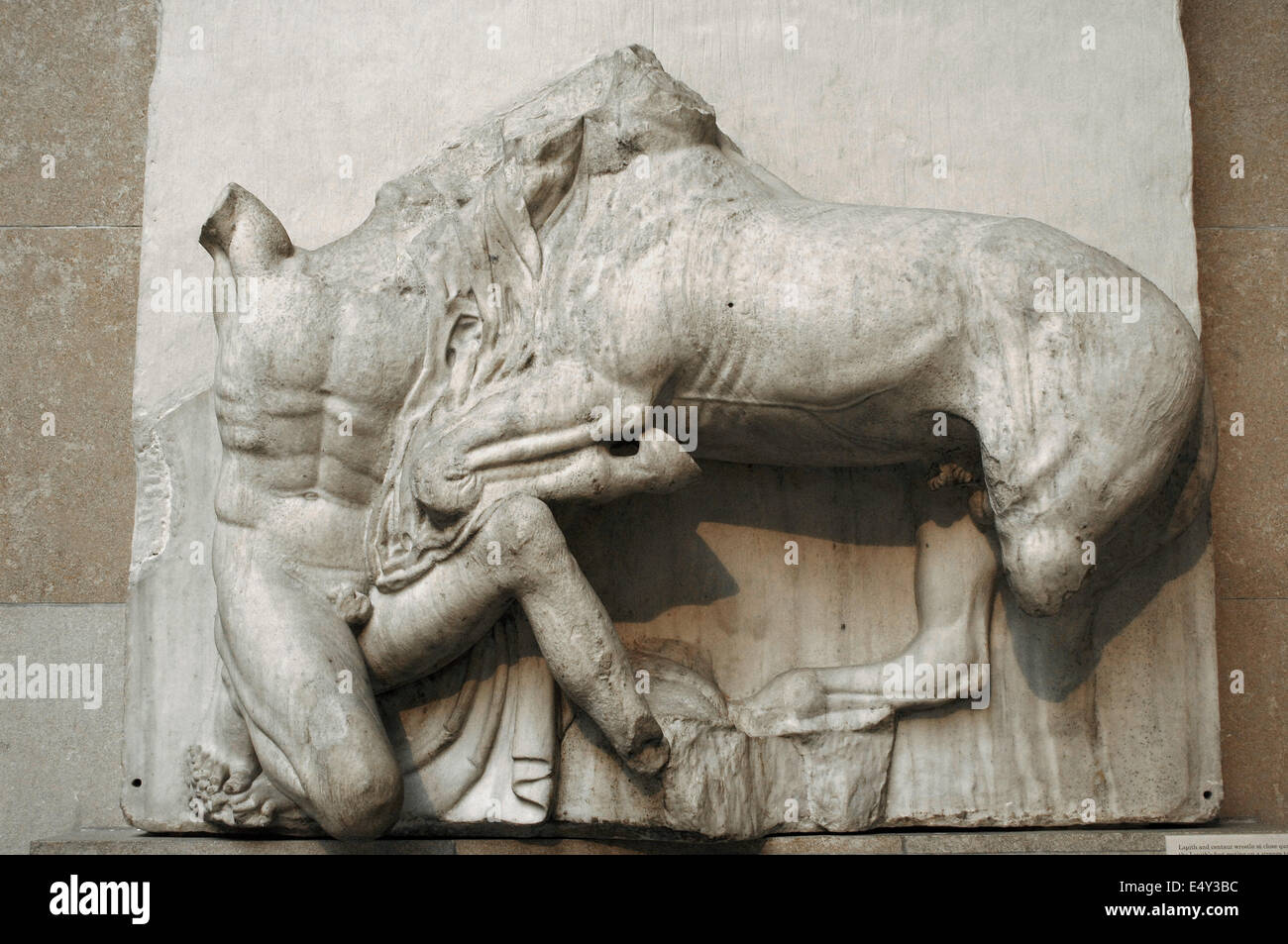 Metope VIII from the Parthenon marbles depicting part of the battle between the Centaurs and the Lapiths. 5th century BC. Athens Stock Photo