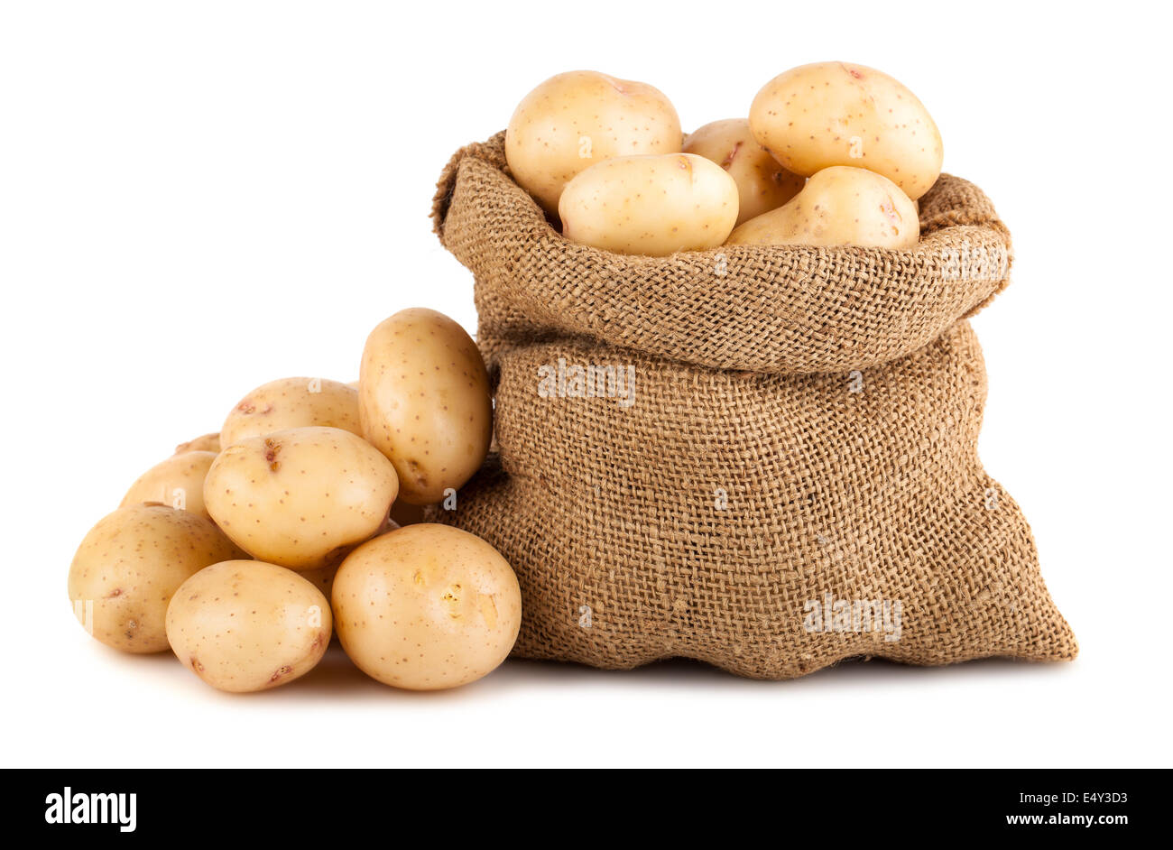 Ripe potato in burlap sack Stock Photo