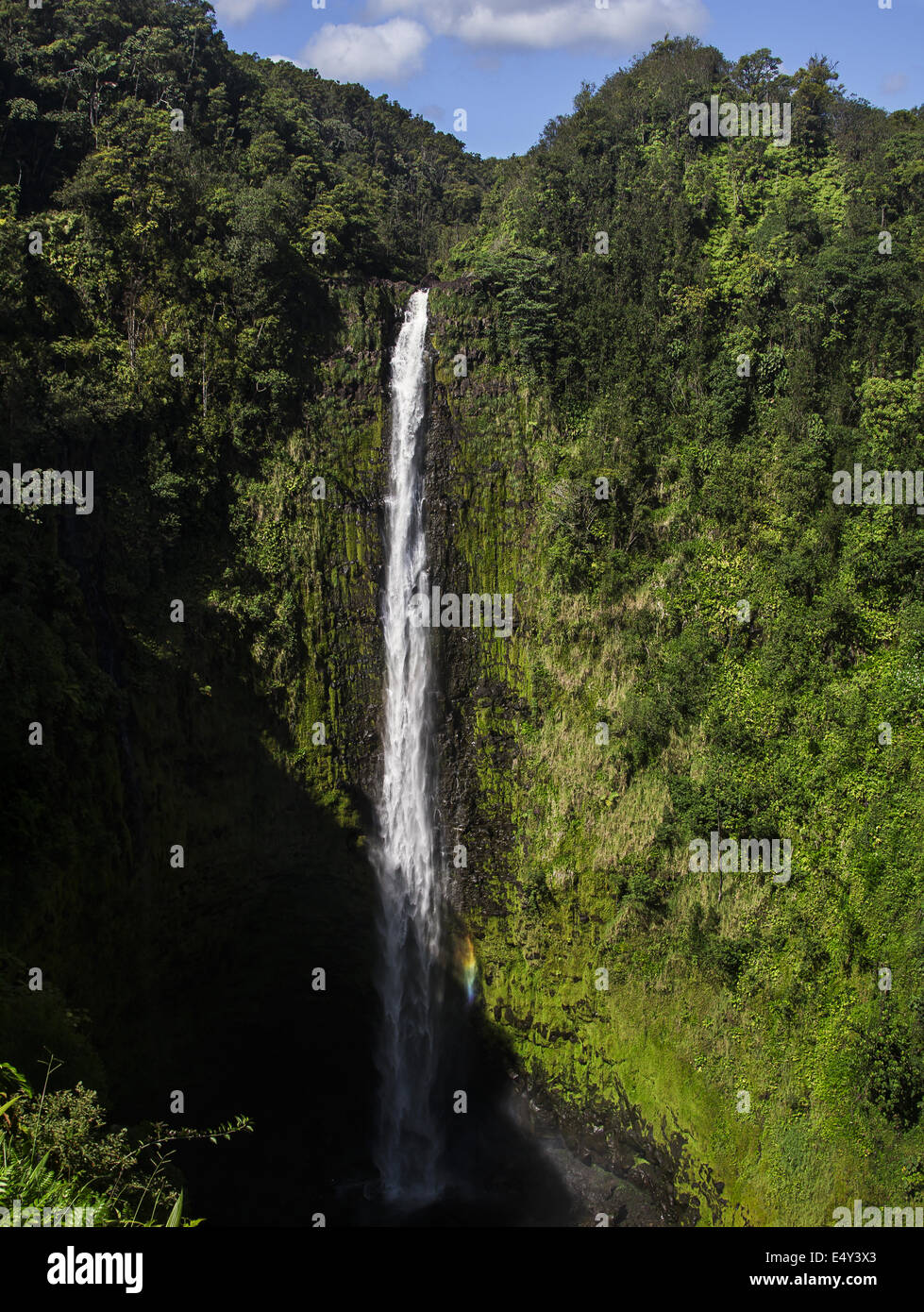 akaka falls Stock Photo