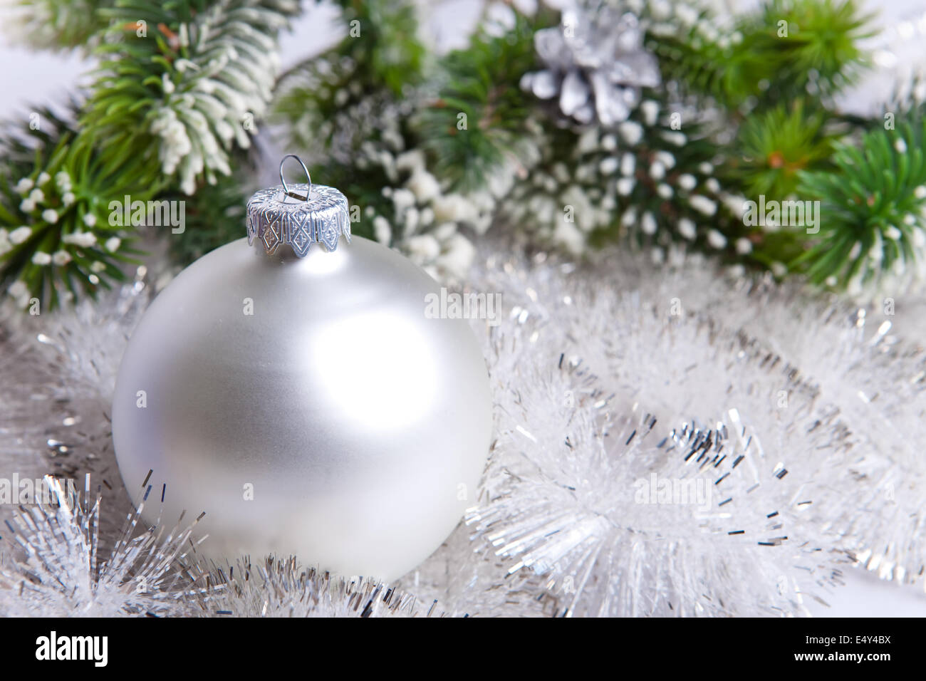 snow-covered branches of a Christmas tree Stock Photo