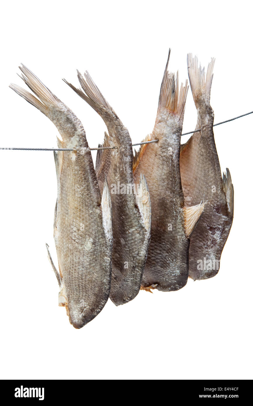 dried fishes isolated on white background Stock Photo