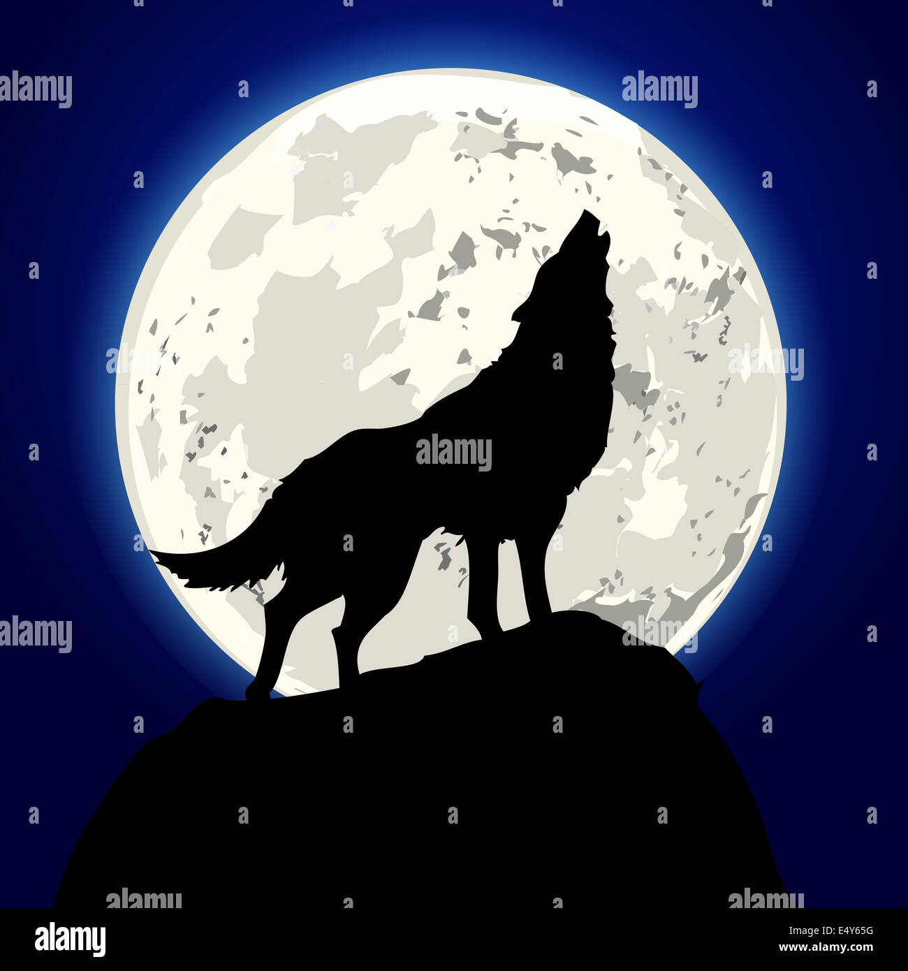howling wolf Stock Photo
