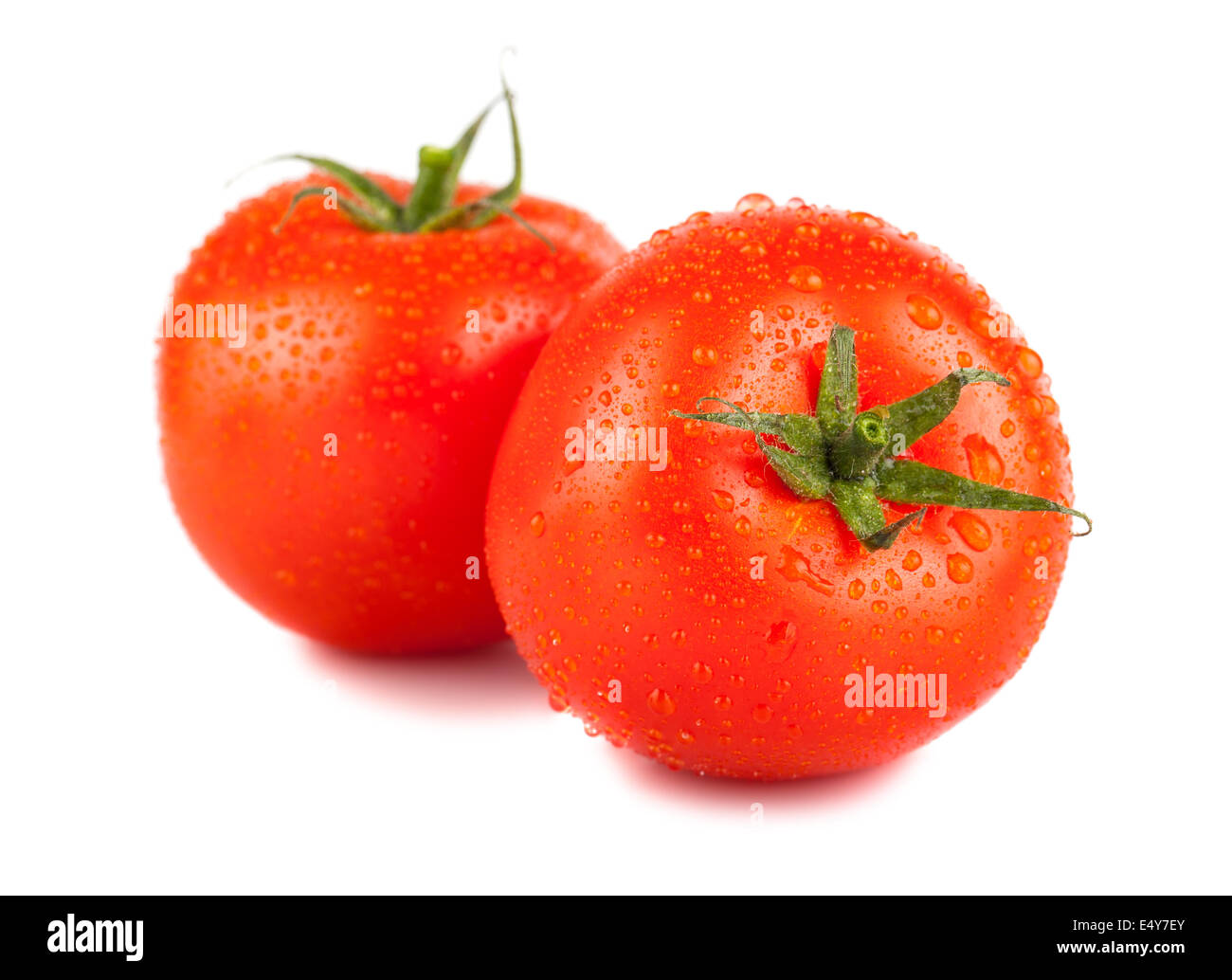Pair of ripe red tomato with water drops Stock Photo - Alamy