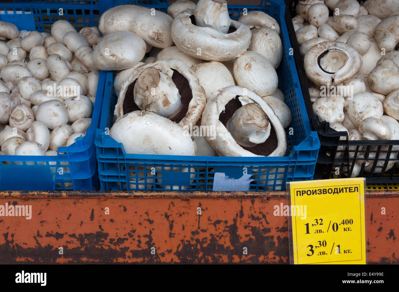 Edible mushrooms in a box on the market. Stock Photo