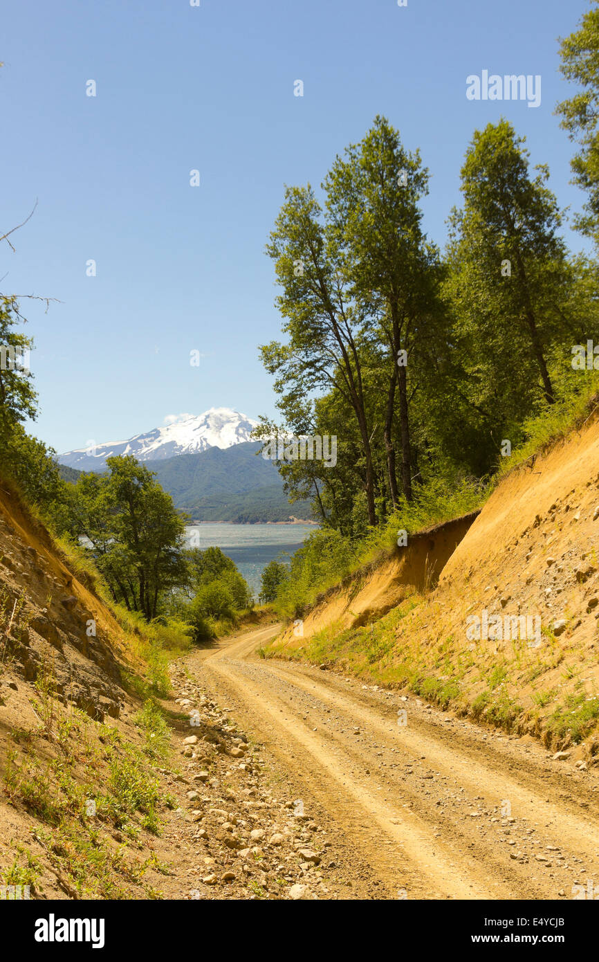 Nalcas National Park, Chile. The route to snowy volcano Lonquimay. Stock Photo